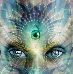 Meet your Posher, Bob